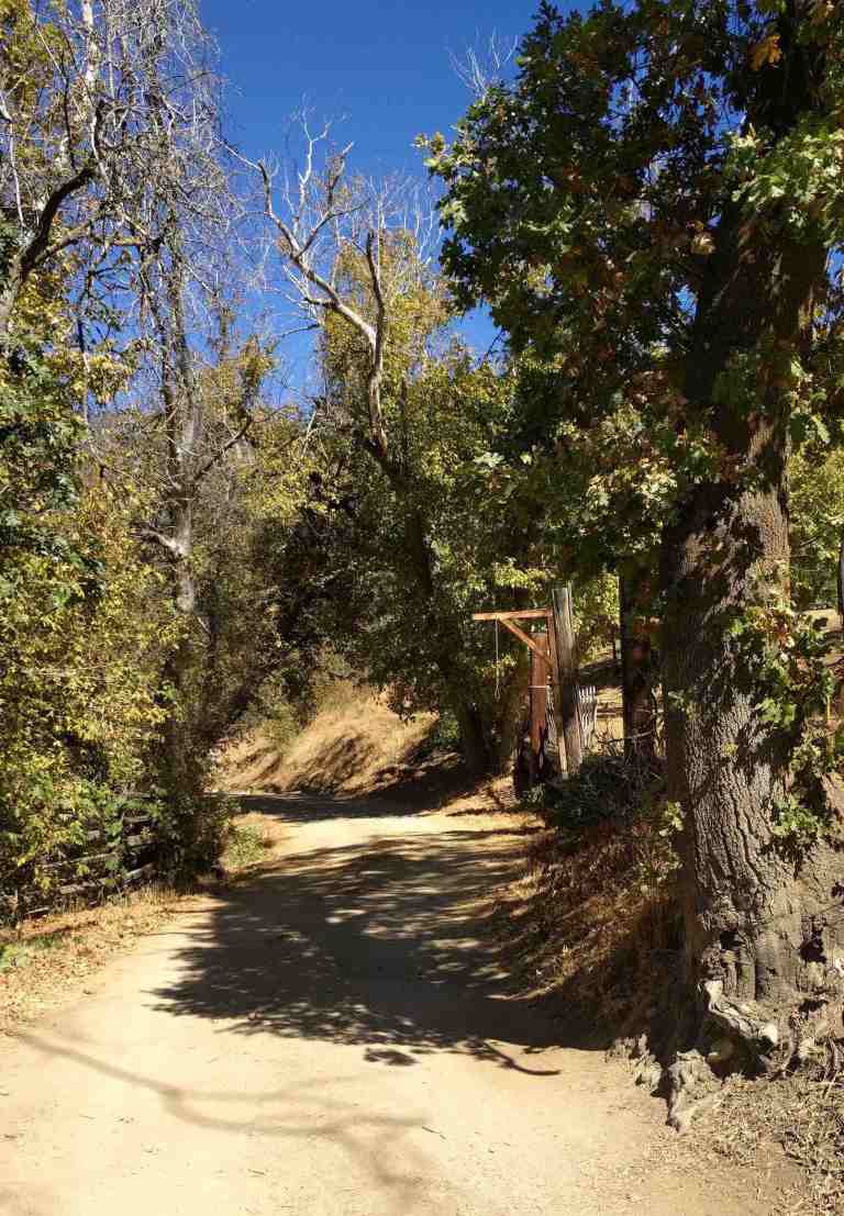 2016-10-08-12-50-02_lr