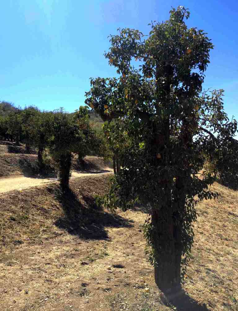 2016-10-08-12-53-18_lr