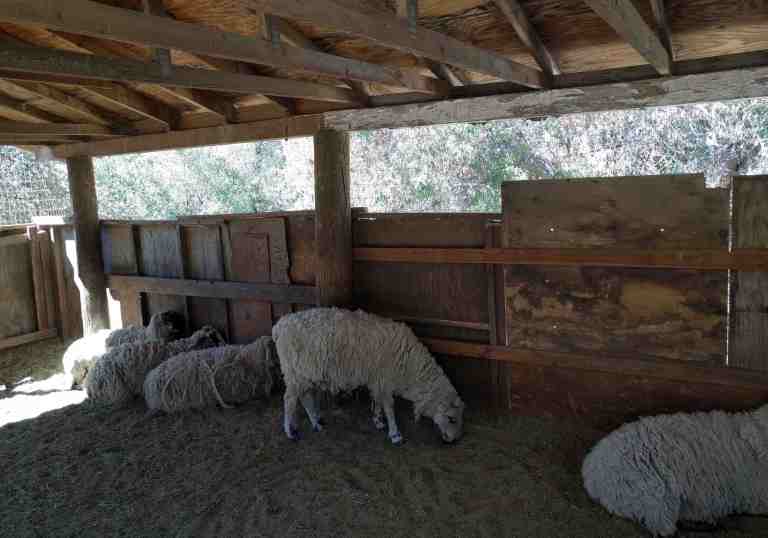 2016-10-08-12-57-42_lr