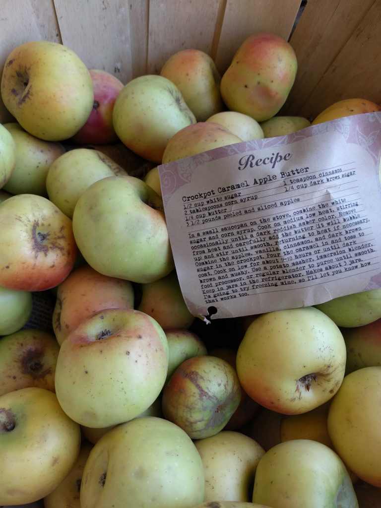 2016-10-08-12-58-57_lr