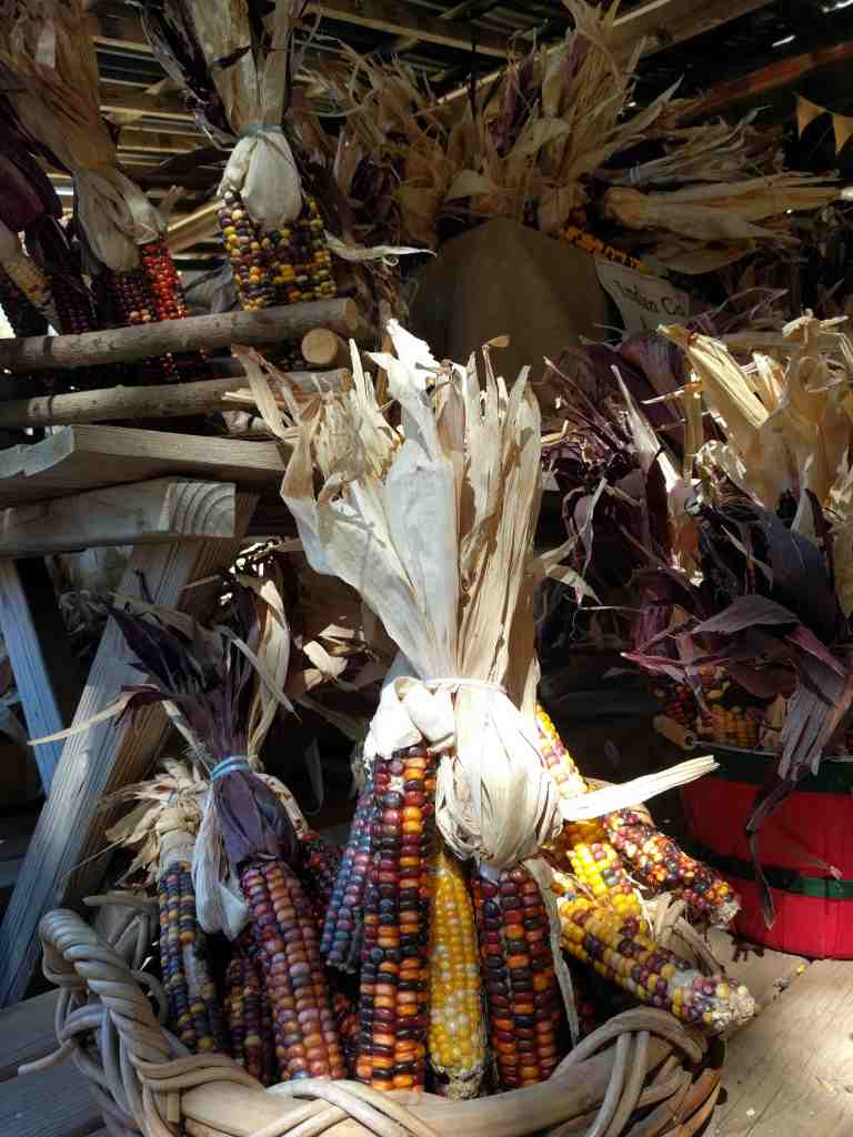 2016-10-08-12-59-46_lr