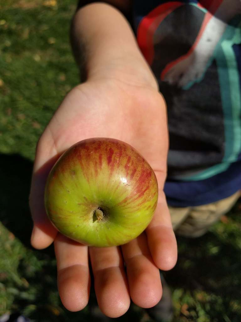 2016-10-08-13-22-00_lr