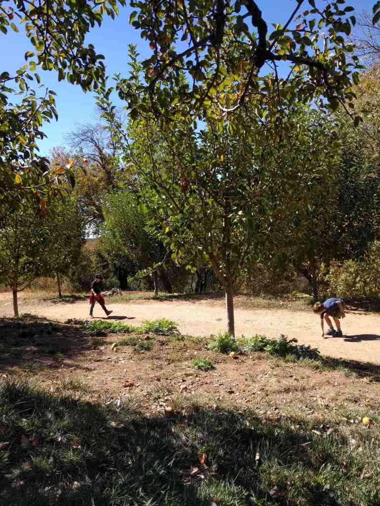 2016-10-08-14-06-36_lr