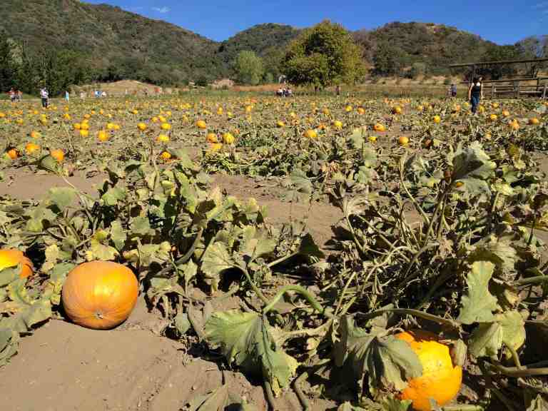 2016-10-08-14-37-18_lr