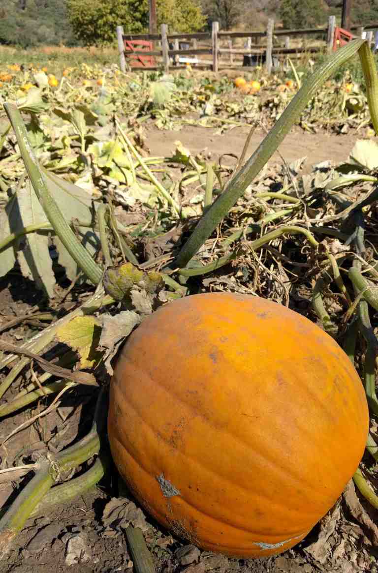 2016-10-08-14-41-06_lr