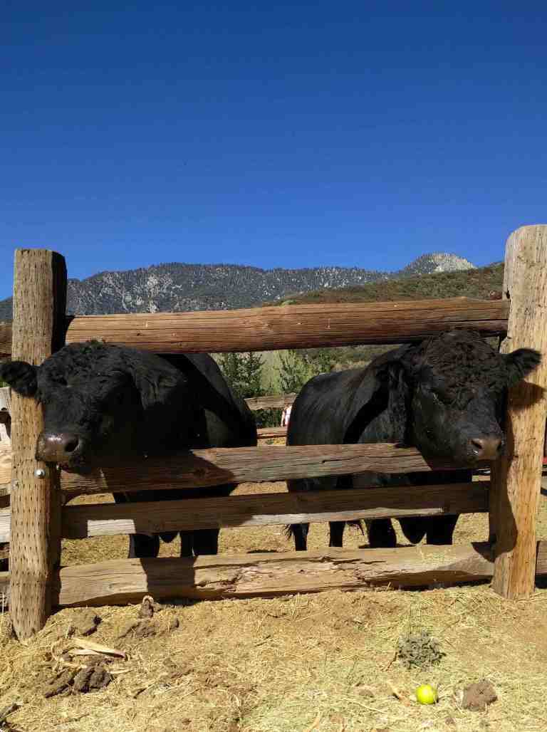 2016-10-08-14-43-43_lr