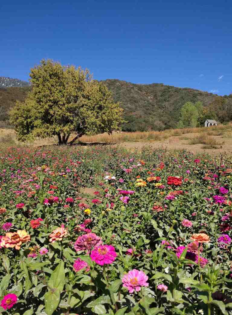 2016-10-08-14-44-42_lr