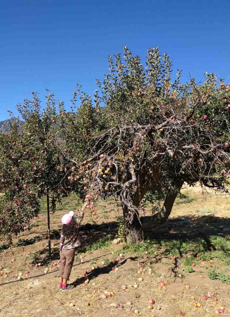 2016-10-08-15-03-01_lr