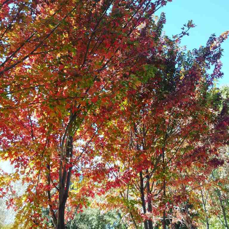 2016-10-08_120458_ig_lr