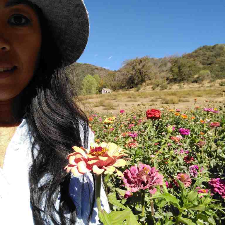 2016-10-08_145301_ig_lr