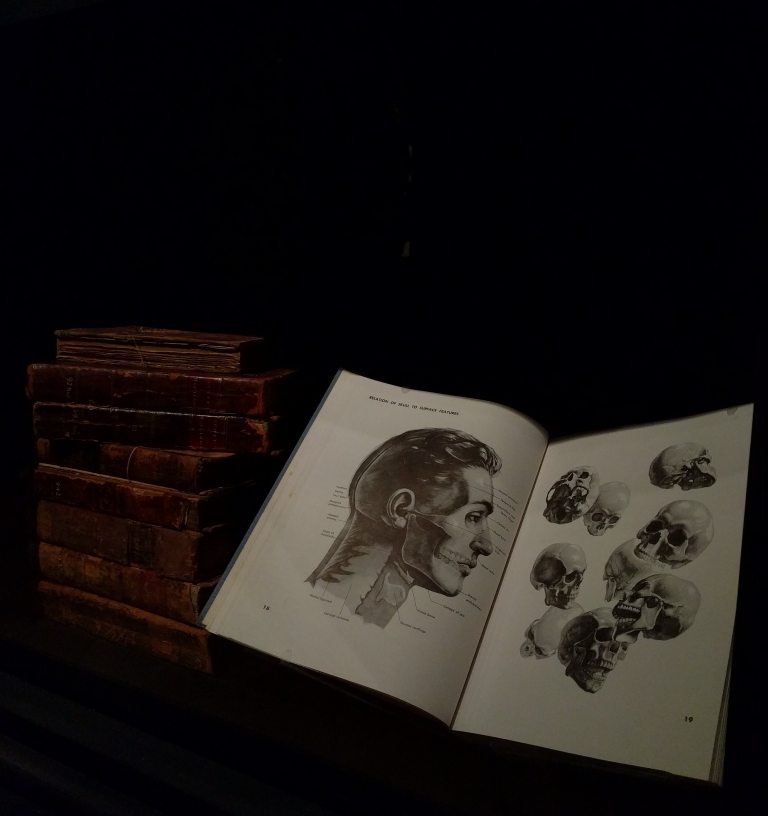 2016-10-22-15-37-41_lr