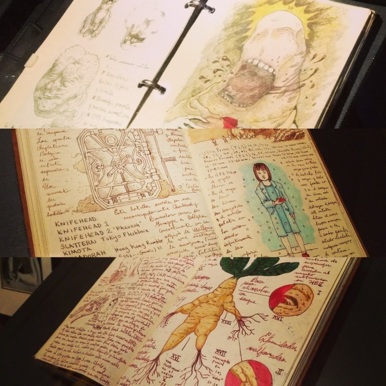 2016-10-22_231822_ig_lr