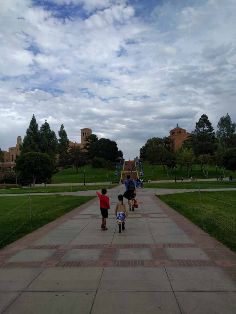 2016-10-23-14-31-05_lr