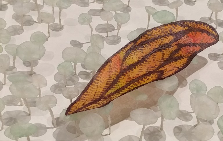 2016-10-23-15-54-46_lr