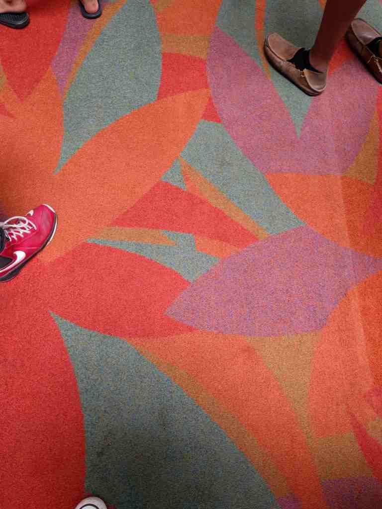 2016-10-29-13-38-44_lr