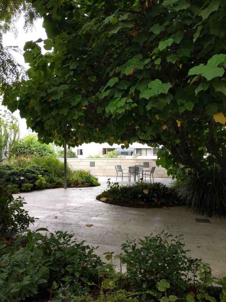 2016-10-29-13-45-20_lr