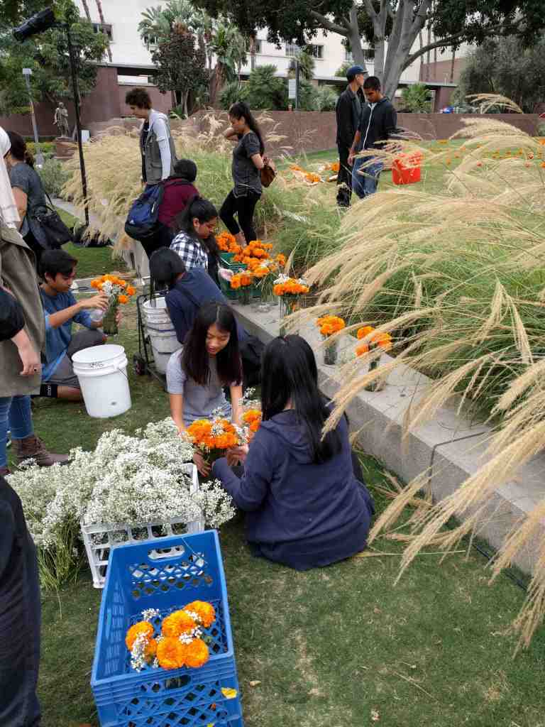 2016-10-29-15-46-42_lr