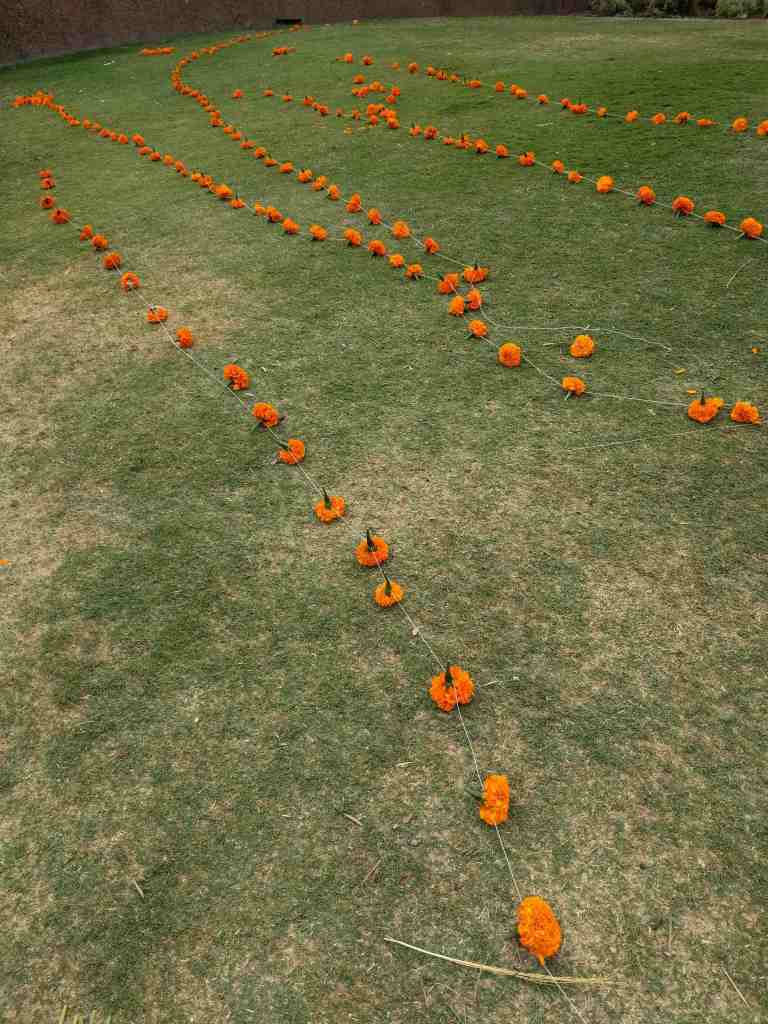 2016-10-29-15-48-01_lr