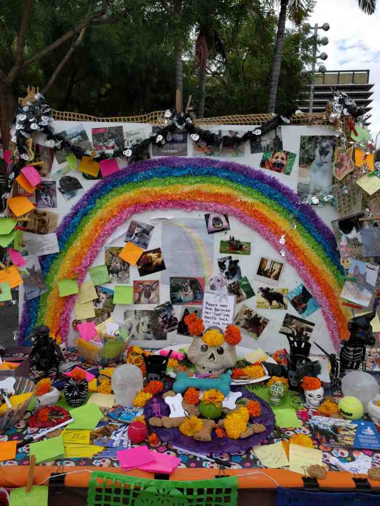 2016-10-29-15-58-31_lr