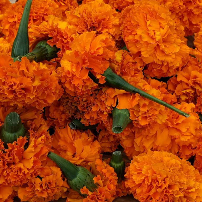 2016-10-29_173711_ig_lr