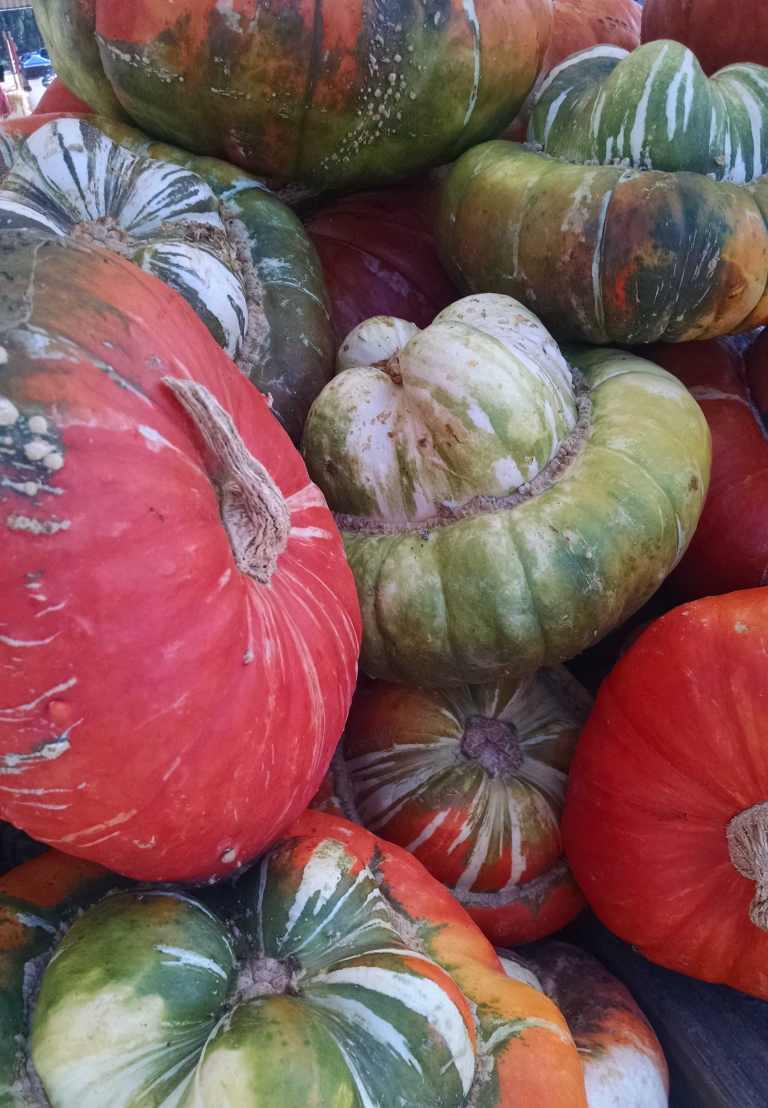 fairytalepumpkins_lr