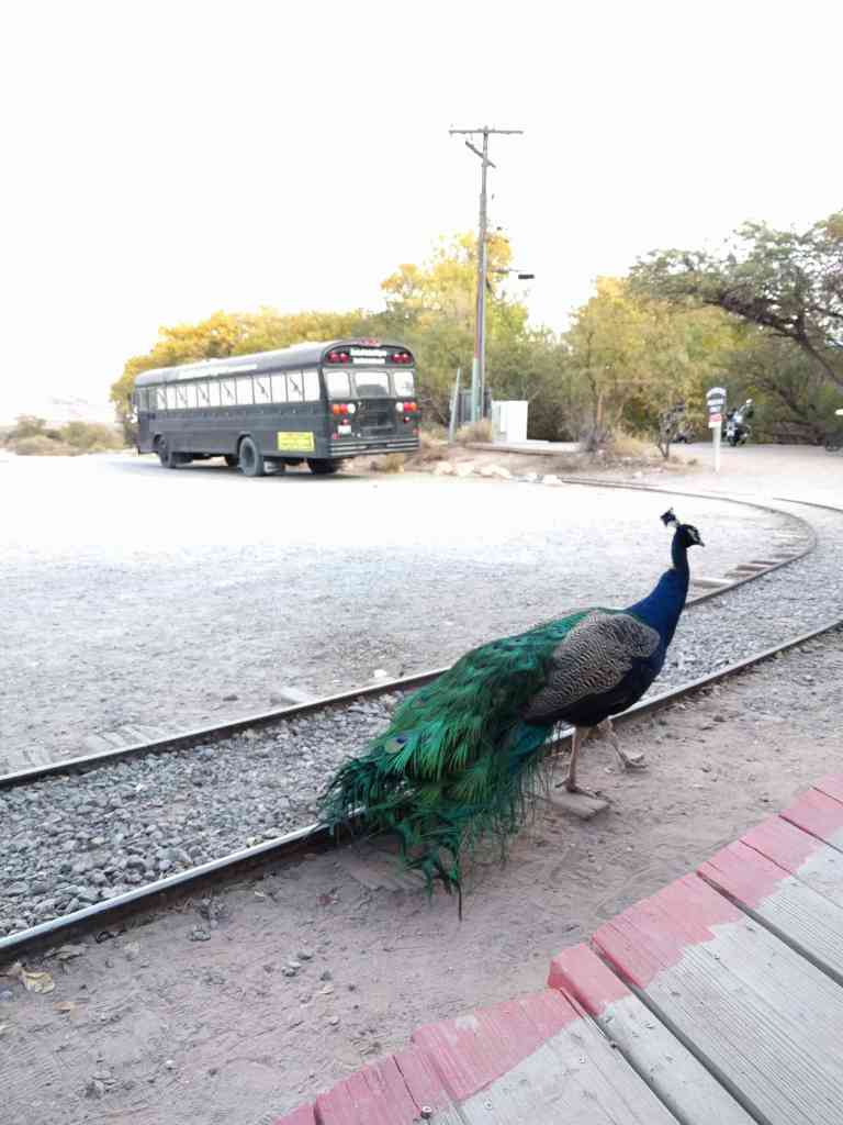 2016-11-12-14-50-17_lr