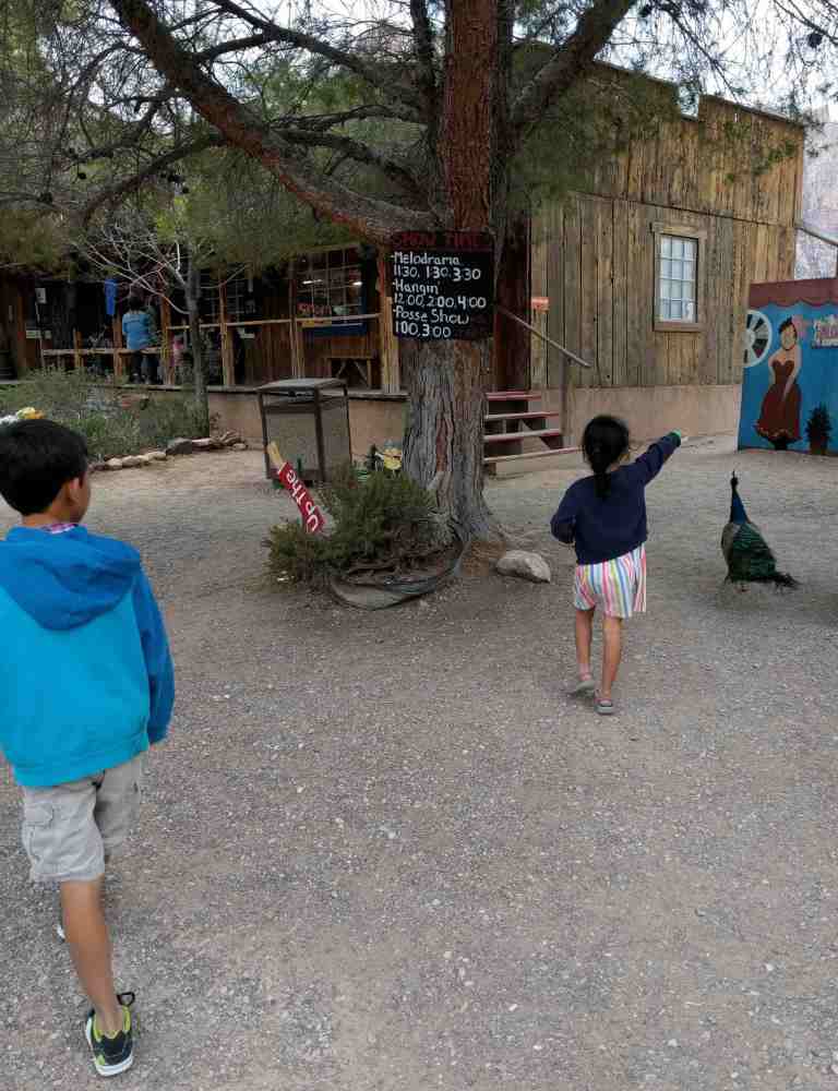 2016-11-12-15-50-27_lr