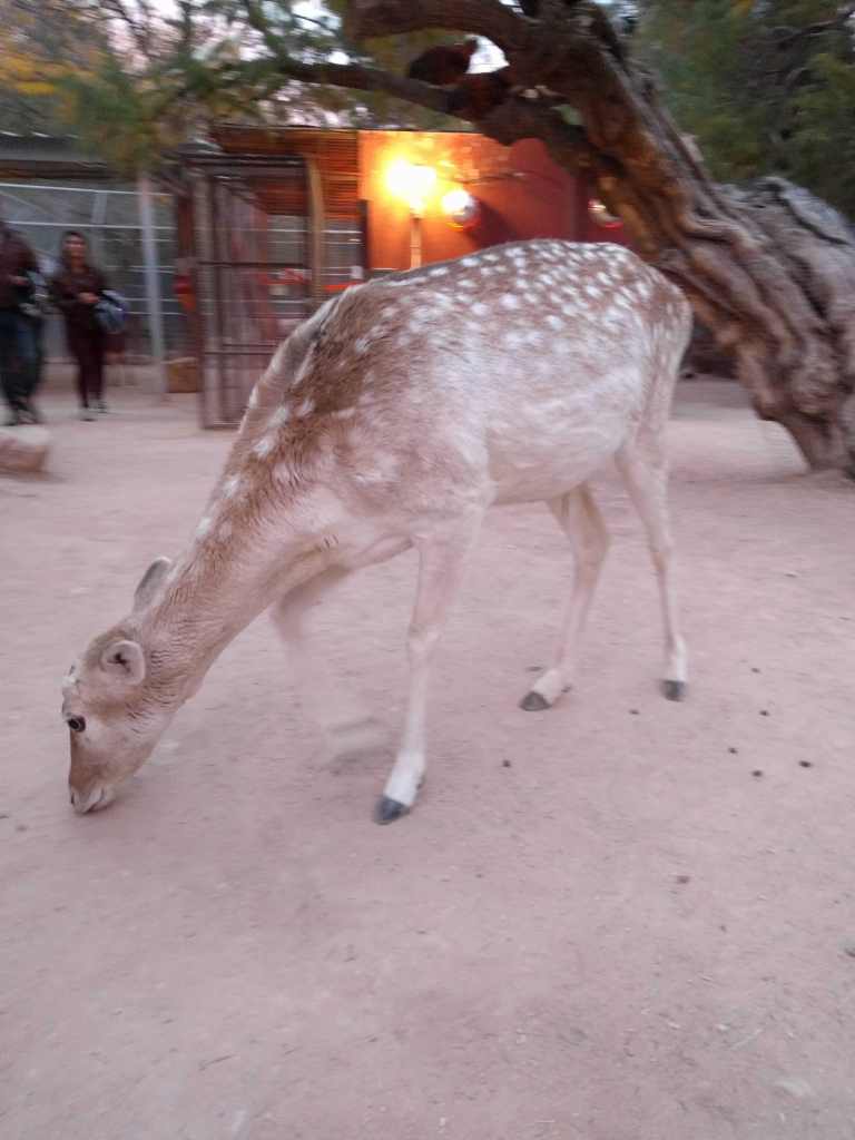 2016-11-12-16-40-45_lr