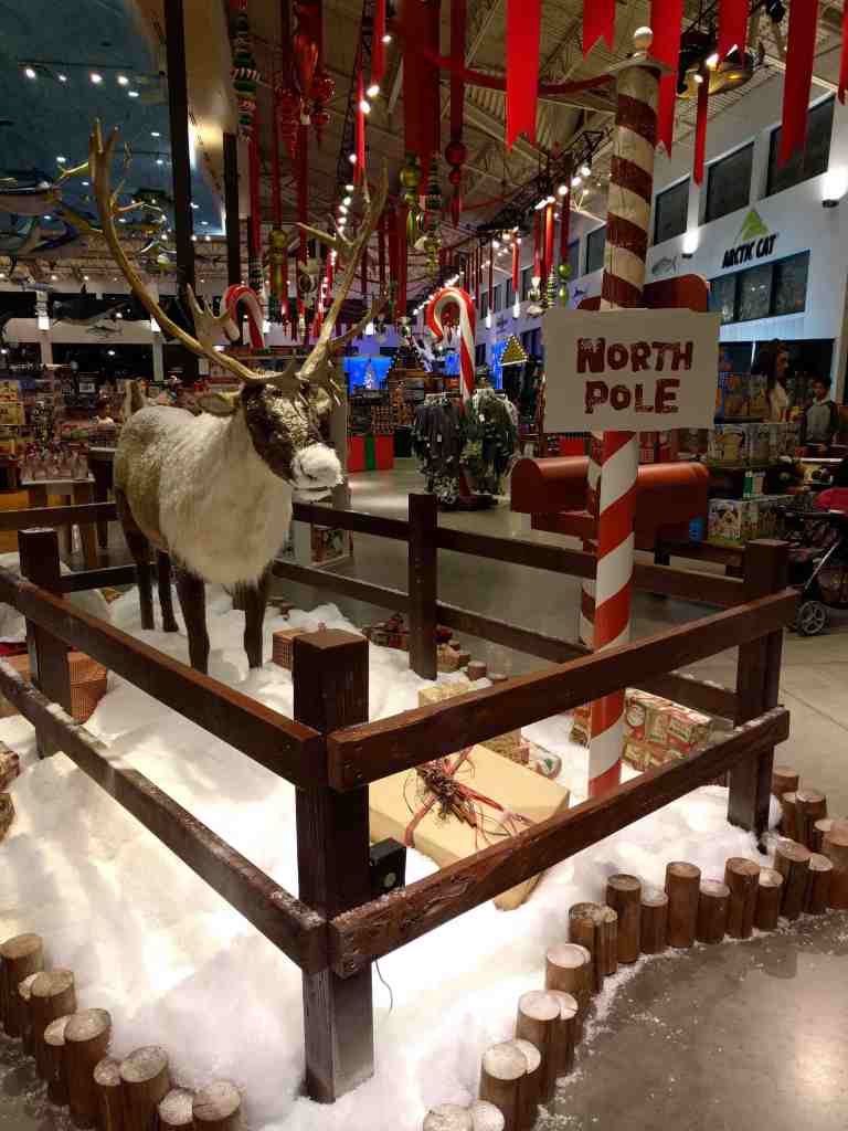 2016-11-12-19-24-40_lr