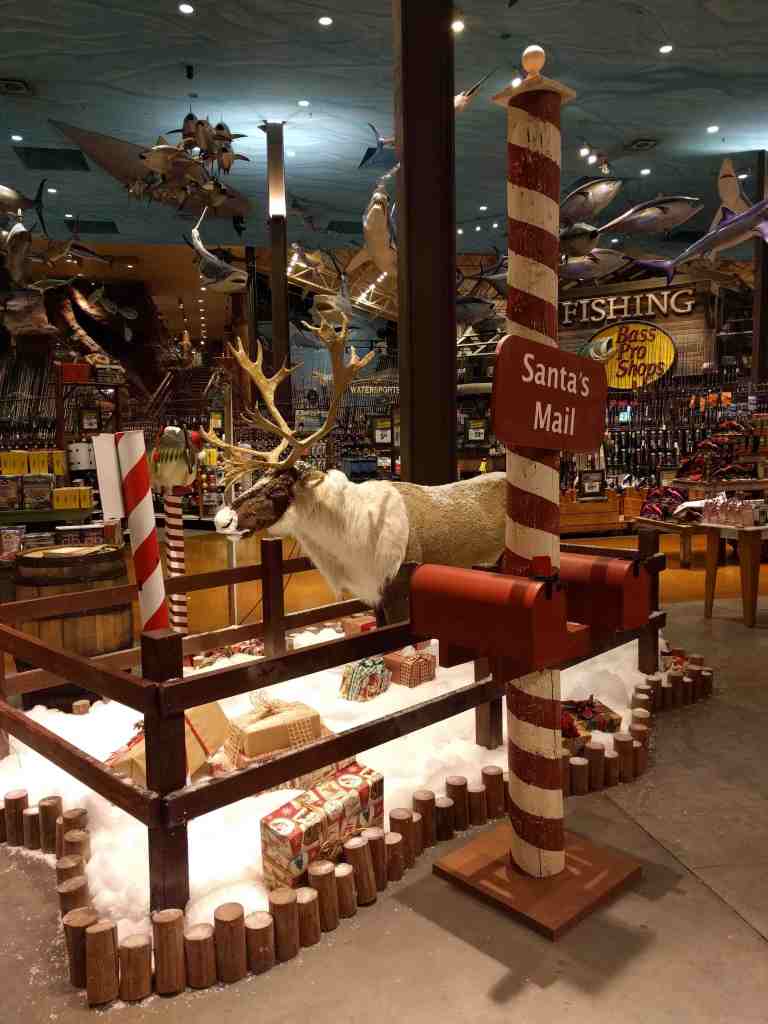 2016-11-12-19-25-11_lr