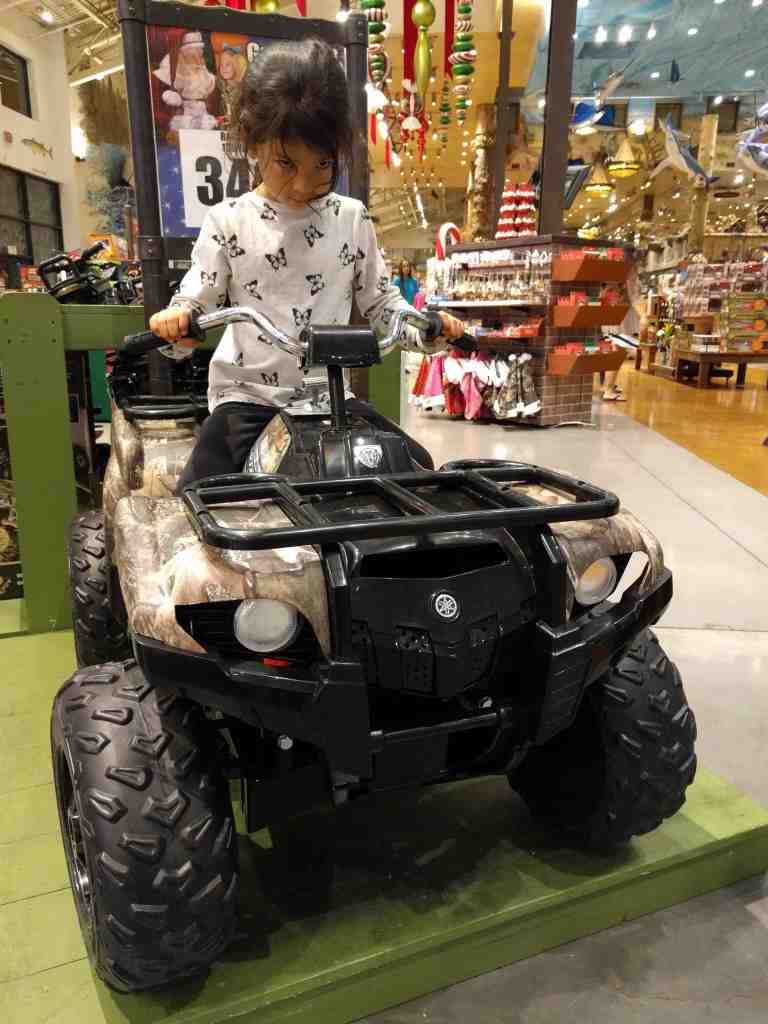 2016-11-12-19-30-24_lr