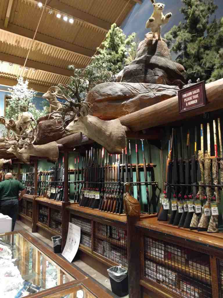 2016-11-12-19-39-30_lr