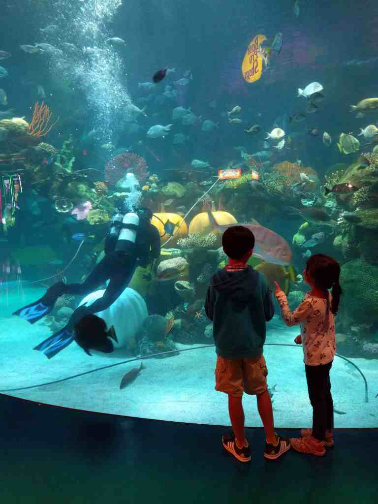 2016-11-12-19-48-29_lr