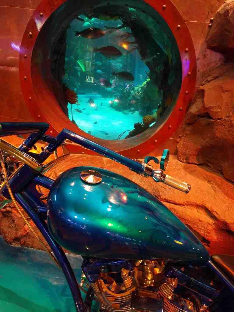 2016-11-12-19-53-19_lr