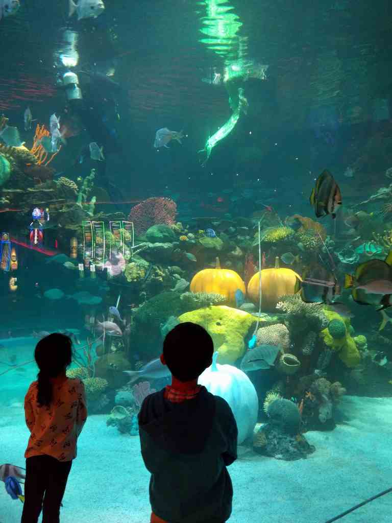 2016-11-12-20-00-50_lr