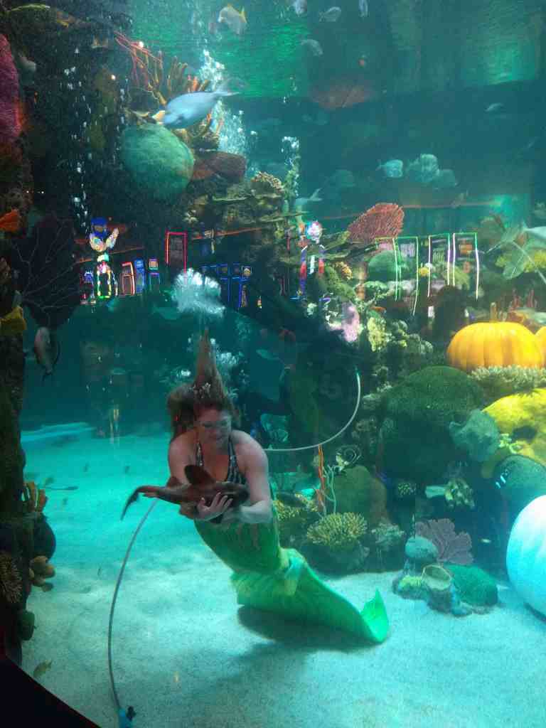 2016-11-12-20-04-37_lr