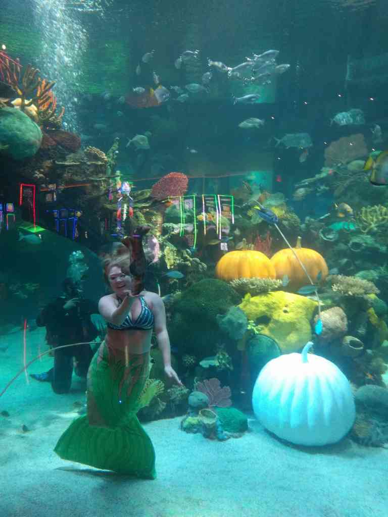 2016-11-12-20-04-45_lr