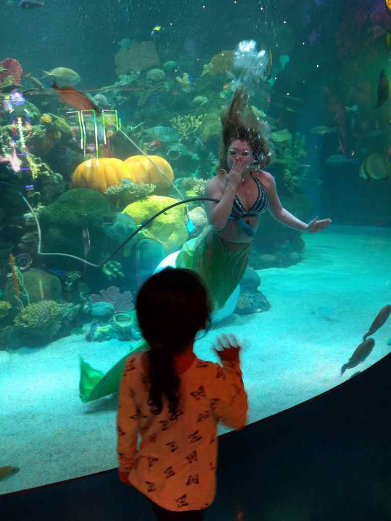 2016-11-12-20-05-11-2_lr