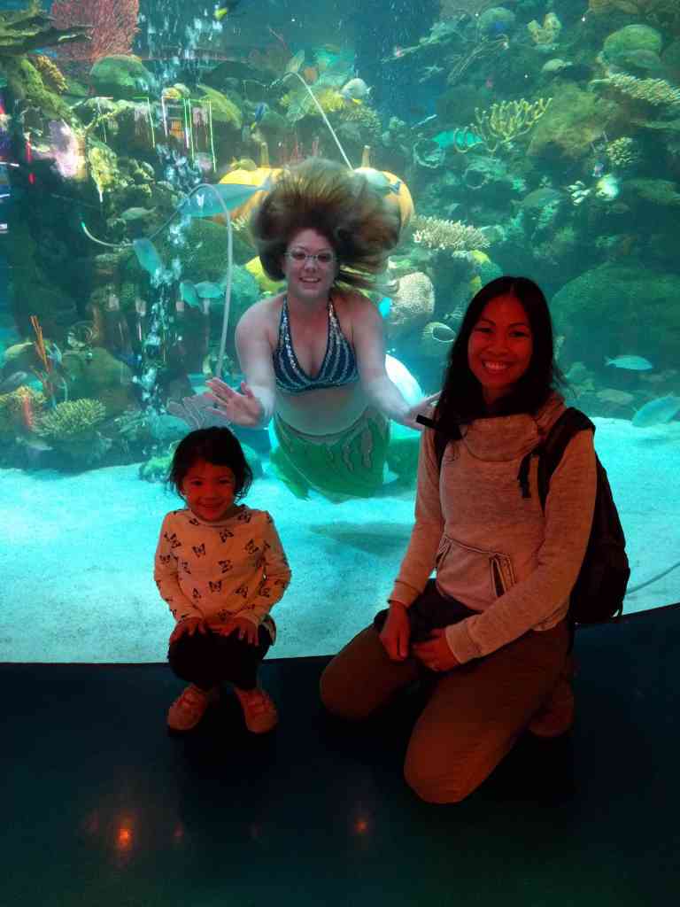 2016-11-12-20-06-31_lr