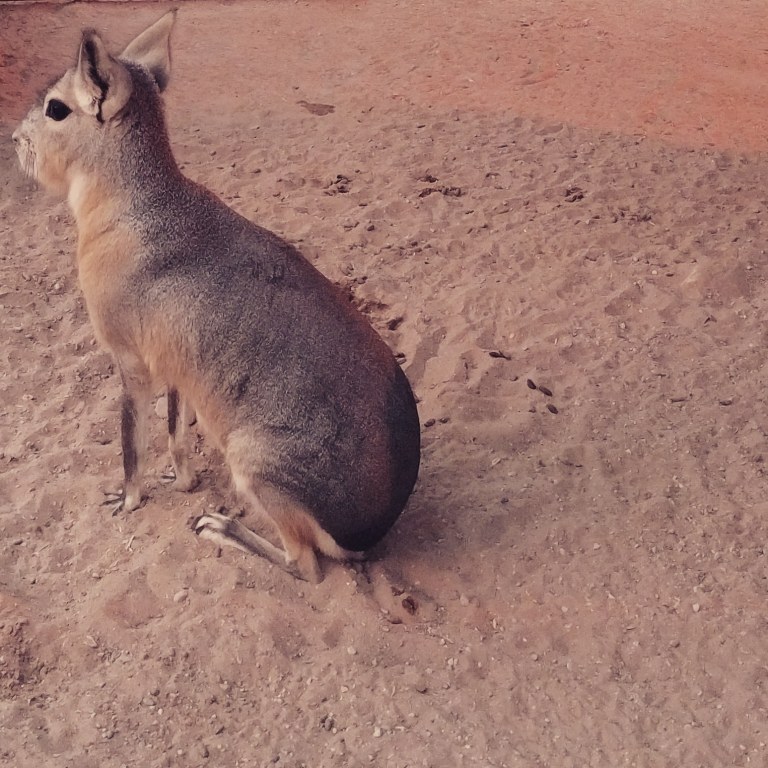 2016-11-12_223047_ig_lr