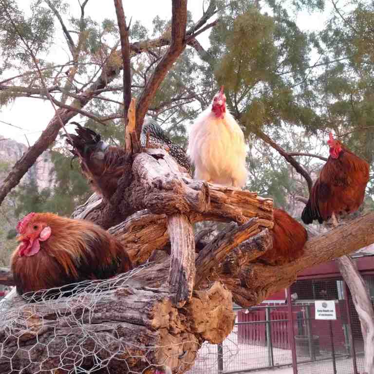 2016-11-12_223646_ig_lr