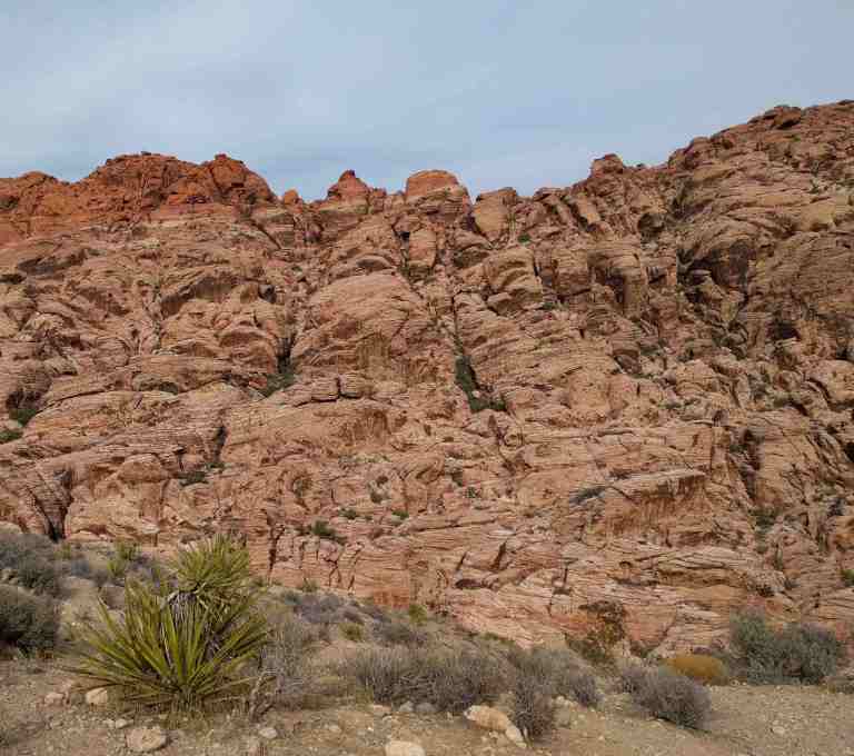 2016-11-12-13-21-20_lr