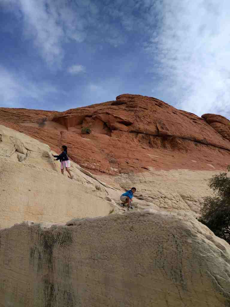 2016-11-12-13-47-45_lr