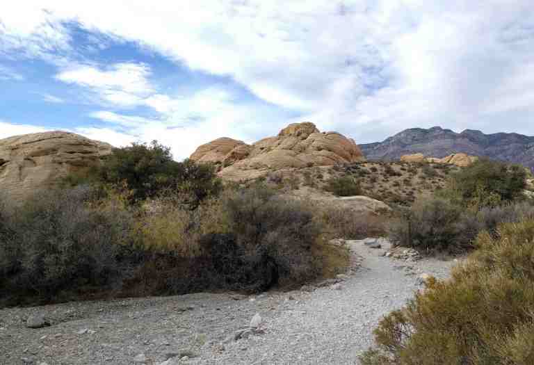 2016-11-12-13-52-11_lr