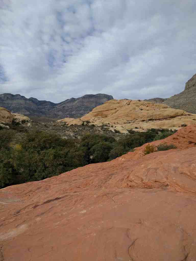 2016-11-12-13-58-05_lr