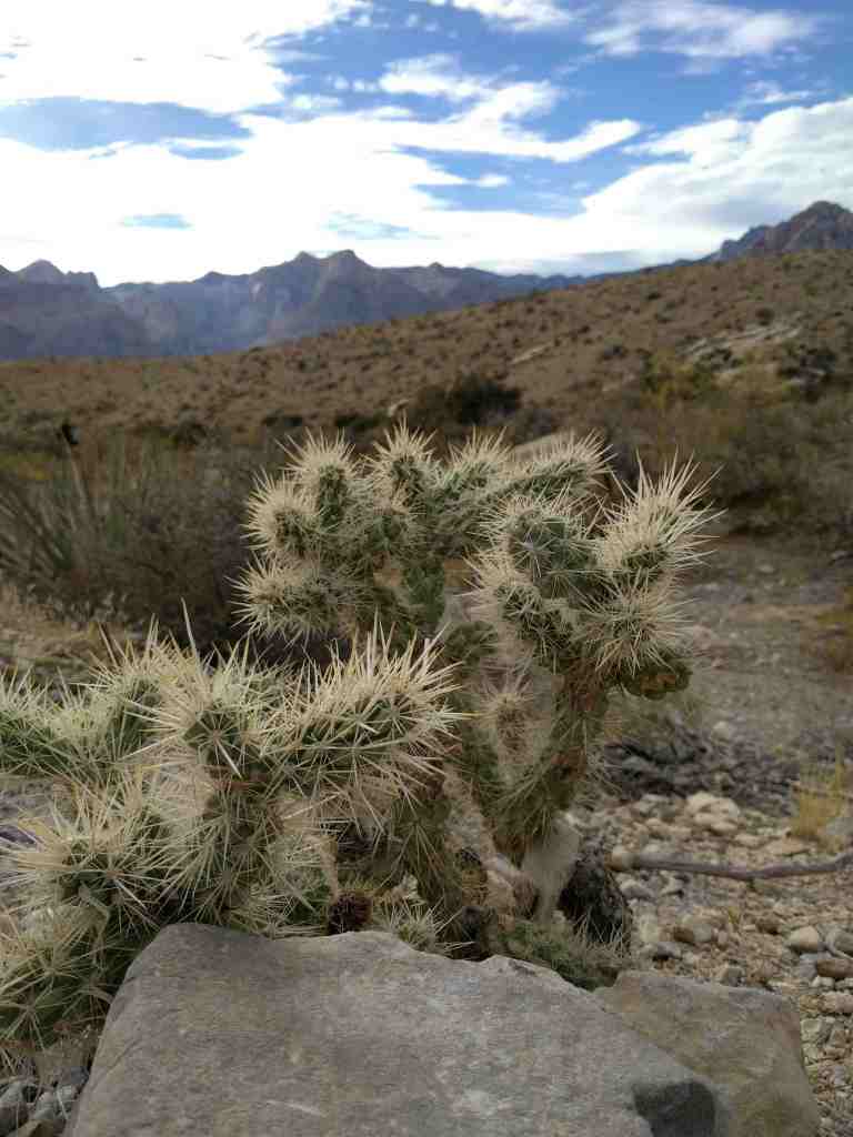 2016-11-12-14-08-34_lr