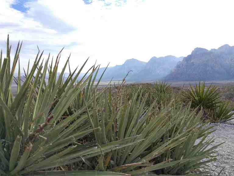 2016-11-12-14-21-21_lr