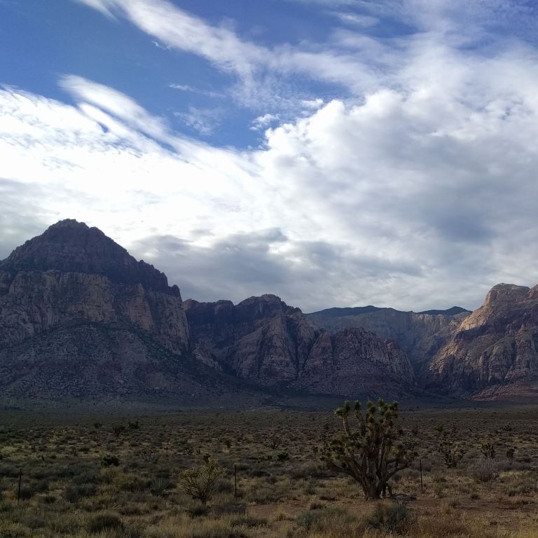 2016-11-12_184723_ig_lr