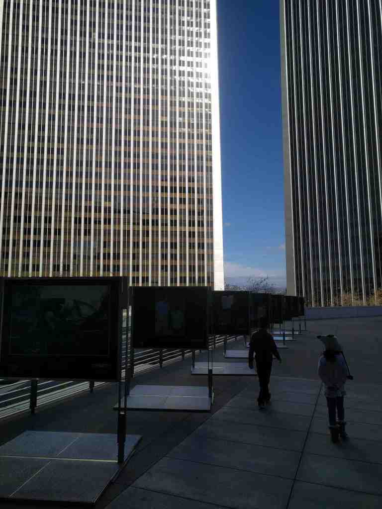 2017-01-06-12-22-51_lr