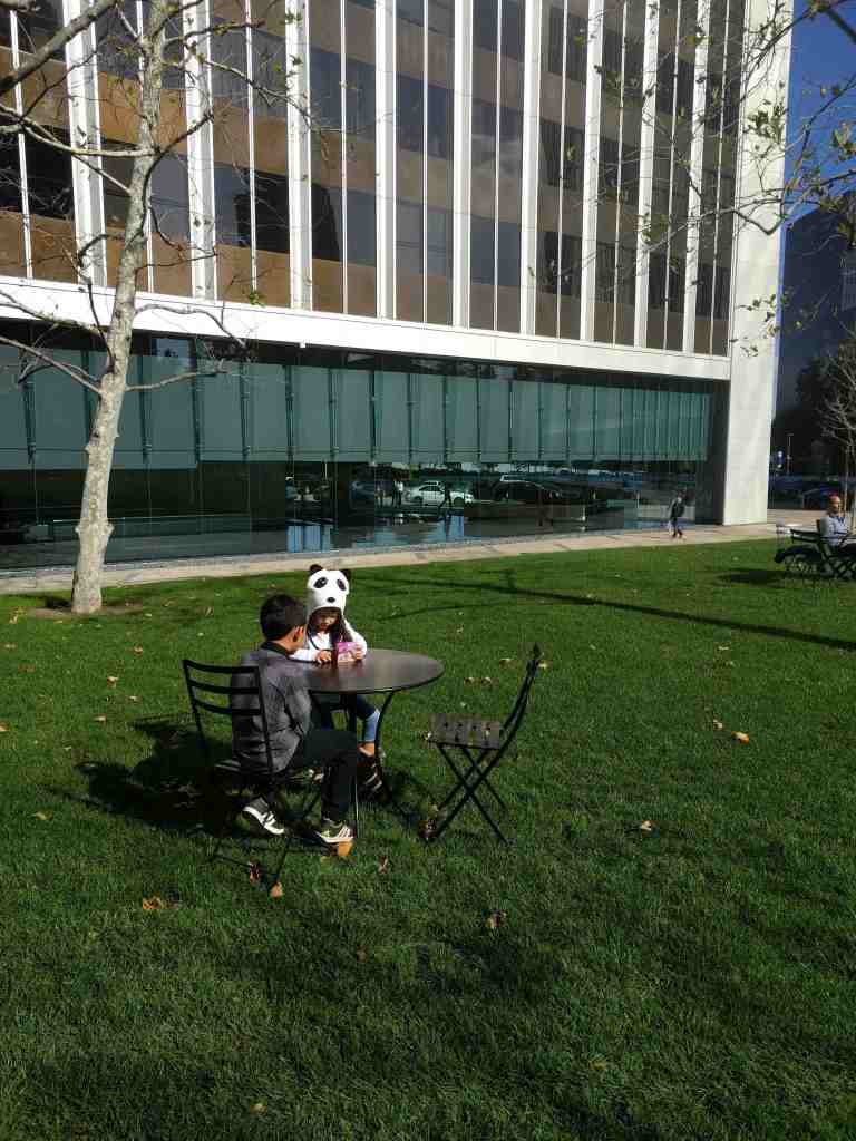 2017-01-06-12-25-56_lr